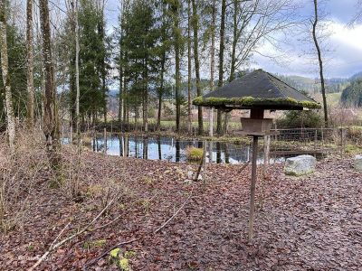 Uferweg-Spaziergang-Emme-ab-Langnau Biotop