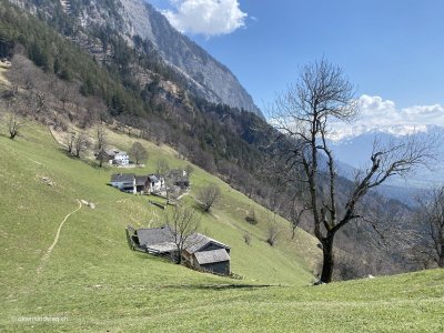 Panorama_Ausblick_Aussicht_Guscha