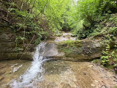 Meilen-Pfannenstiel-Wanderung