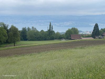 Meilen-Pfannenstiel-Ausssicht-Zürichsee