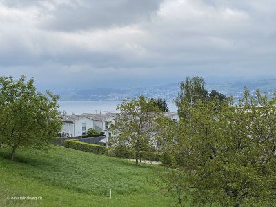 Familienwanderung-Meilen-Pfannenstiel