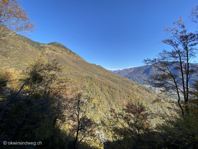 5_Wanderung-Monte-Carasso-Haengebruecke-Carasc