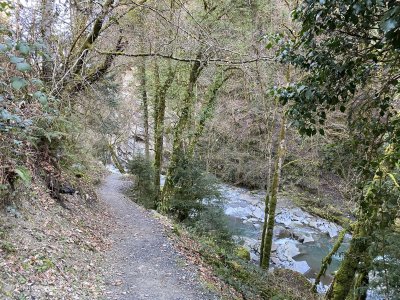 Monthey-Vieze-Waldweg