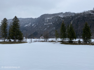 Schneewiese-Schneefeld-Schwyz-Muoatatal