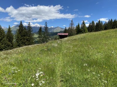 Pany-Stelsersee-Wanderung