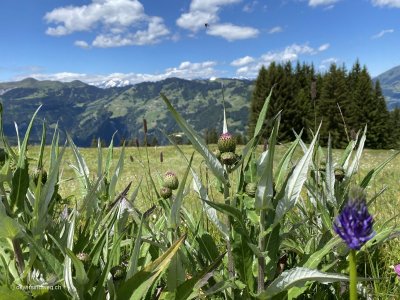 Prättigau-Wanderung