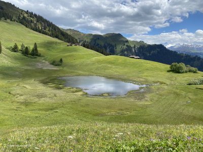 Stelsersee-Bergsee