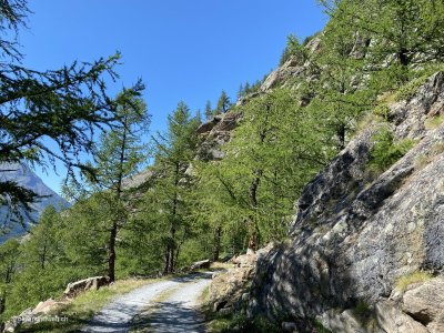 wanderung_wanderweg_saas_almagell