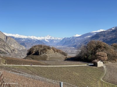 Weinrebewanderung_Schweiz