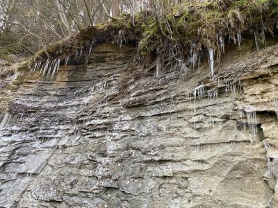 Eiszapfen-in-der-Schwarzwasserau