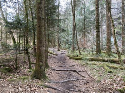 Wanderung-durch-Naturschutzgebiet-Naehe-Bern