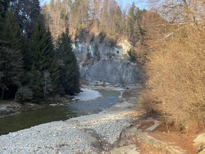 Supertipp-fuer-Familienausfluegler-und-Aussteiger-Naturschutzgebiet-Sense-Schwarzwasser