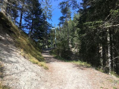 Val-Sinestra-Hängebrücke-Sura