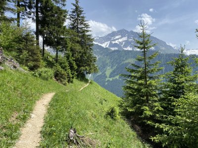 Landschaft_Berge_Urnerland_Uri