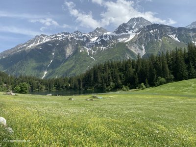 Wiesenlandschaft_Naturwiese_Zentralschweiz