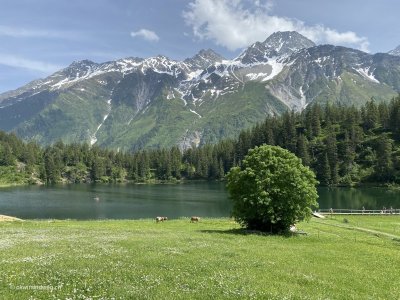 Golzern_Bergsee_Golzernsee_Badestrand_Freibad