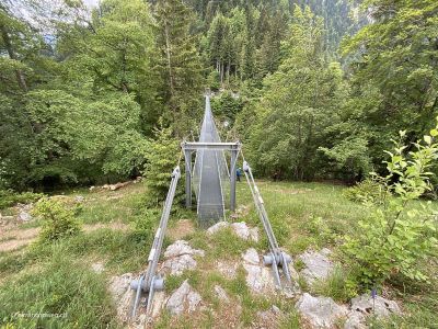 Leiternweide-Hängebrücke-im-Berner-Oberland-bei-Oberwil