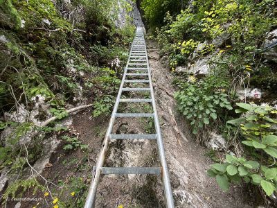 Einstiegsleiter-in-die-prähistorische-Schnurenlochhöhle