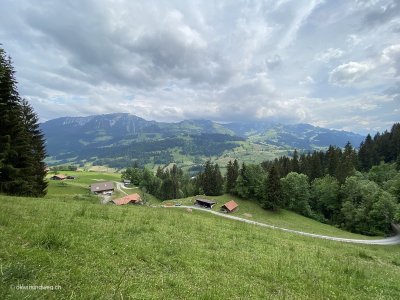 Panoramasicht-Berner-Oberland-Simmental