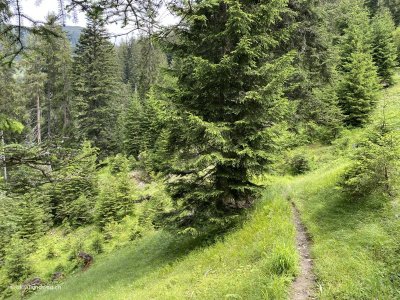 St-Antoenien-Schiers-Wanderweg