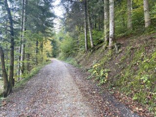 Wanderung-Wanderweg-Steffisburg-Fahrni