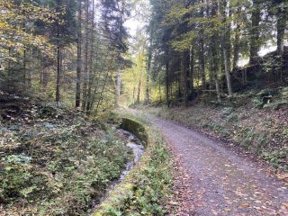 Kleine-Rundwanderung-Steffisburg