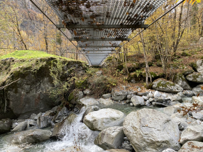 Kastanienblaetter-auf-Haengebruecke