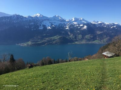 Aussicht-Thunersee