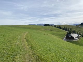 Wiese-Nutzwiese-Emmental