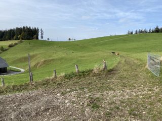 Bauernhof-Emmental