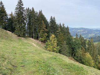 Wanderung-Kaeserenegg-Trubschachen