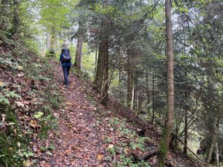 Wanderung-Trubschachen-im-Emmental