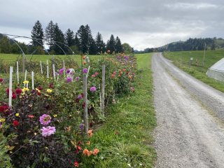 Blumen-Bauernhof-Trubschachen