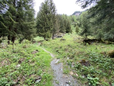 Wanderweg-hinterrhein-averserrhein-sutsilvan