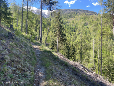 Wanderung_Unterbaech-Eischoll-Milibach