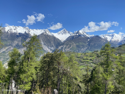 Bergpanorama_Wanderung_Unterbaech-Eischoll-Raron