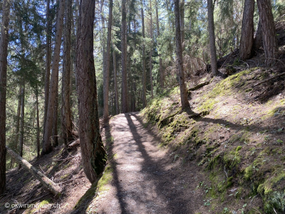 Rundwanderung_Unterbaech-Eischoll-Rundweg