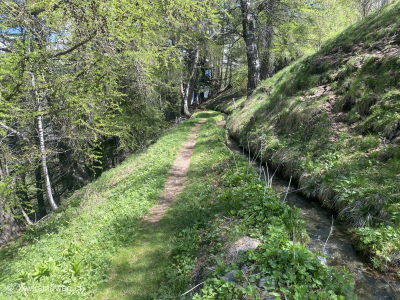 Suonenwanderweg-Eischoll-Unterbaech-Wallis