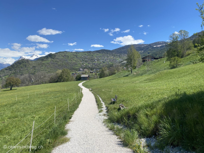 Zugang-zur-Haengebruecke-Milibach-Raron-Eischoll-Unterbaech