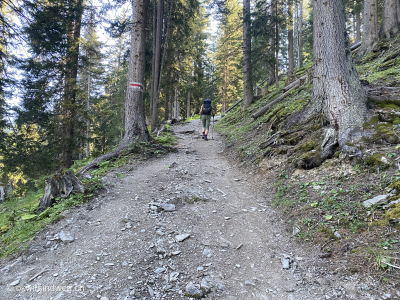 Wanderung-Arosa-Davos-Graubuenden