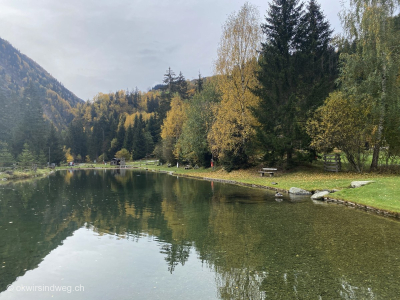 Camping-Disentis