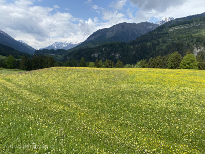 Wanderung-von-Scuol-nach-Ardez-ueber-den-Inn-