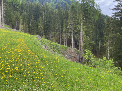 Wanderweg-Scuol-Tarasp-Ardez