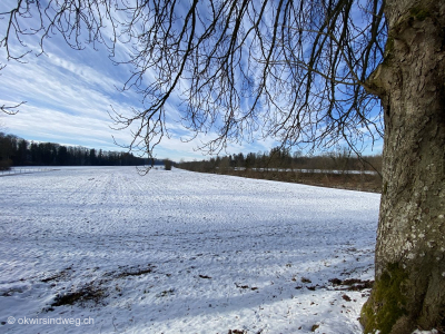 Wandern-Weinfelden-Ostschweiz