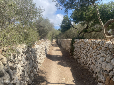 Wandererlebnis-Wanderabenteuer-Menorca-Cami-de-Cavalls-Tag10