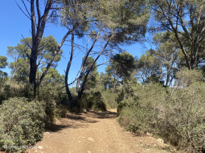 Menorcas-Kuestenwanderung-rund-um-die-Insel-Tag2