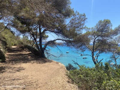 Fernwanderung-GR223-Cami-de-Cavalls-Menorca-Inselumrundung-Tag8