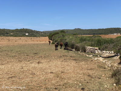 Fernwanderung-GR223-Cami-de-Cavalls-Menorca-Inselumrundung-Tag8