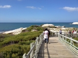 Simons Town Pinguine 1