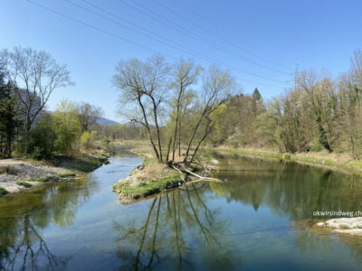 Aare Flusswanderung zwischen Aarau und Olten